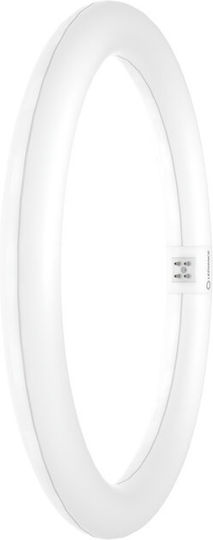LEDVANCE OSRAM ΛΑΜΠΑ LED T9C ΚΥΚΛΙΚΗ 18,3W 4000K 4099854042522 - Κύρια εικόνα