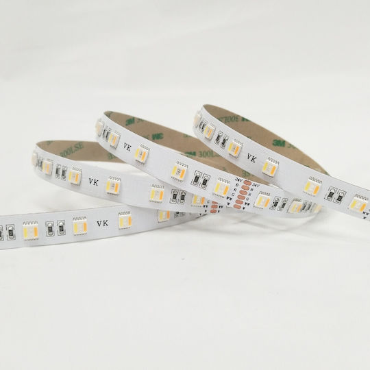 VK/24/5050/CCT/60 Ταινία Led SMD 2835, 24V, 18W/m, 952lm/m, 2400K+6000K (RGB+WW), 5m/roll, CRI>90, IP20 (5 ΜΕΤΡΑ ΣΥΣΚΕΥΑΣΙΑ)